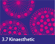 3.7 Kinaesthetic
