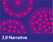 3.9 Narrative