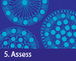 5. Assess
