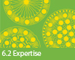 6.2 Expertise